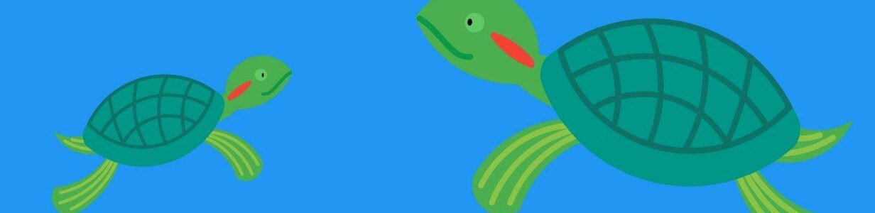 Main img 20250503 185606 287