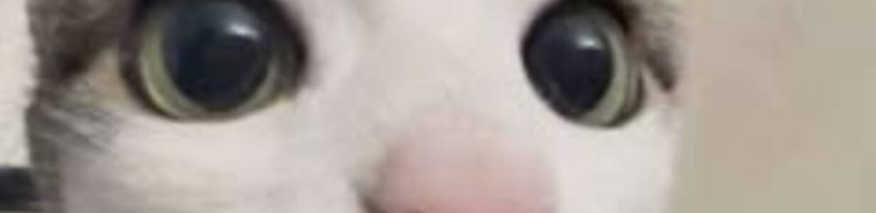 Main 11b1a95dac1b2fb087c0b1a5d58c5e3e