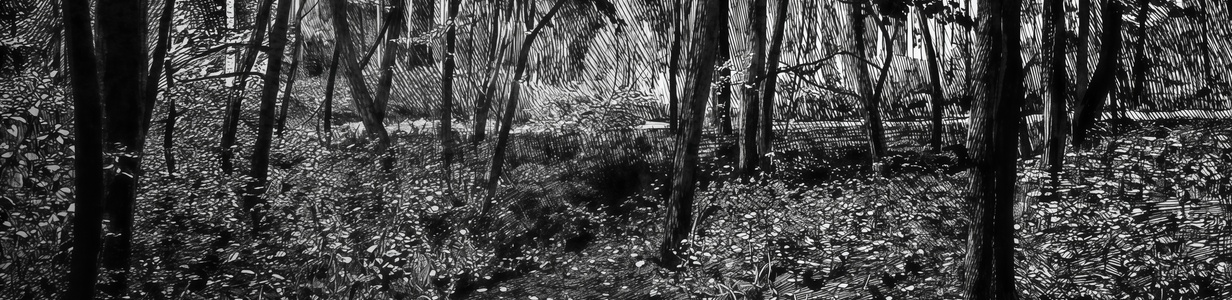 Main %d0%92 %d0%a6%d0%b0%d1%80%d0%b8%d1%86%d1%8b%d0%bd%d0%be 1