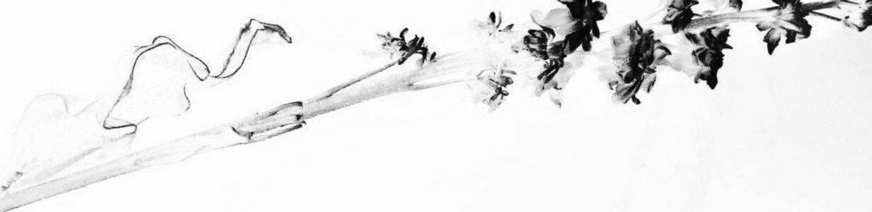 Main img 20250522 162518 207