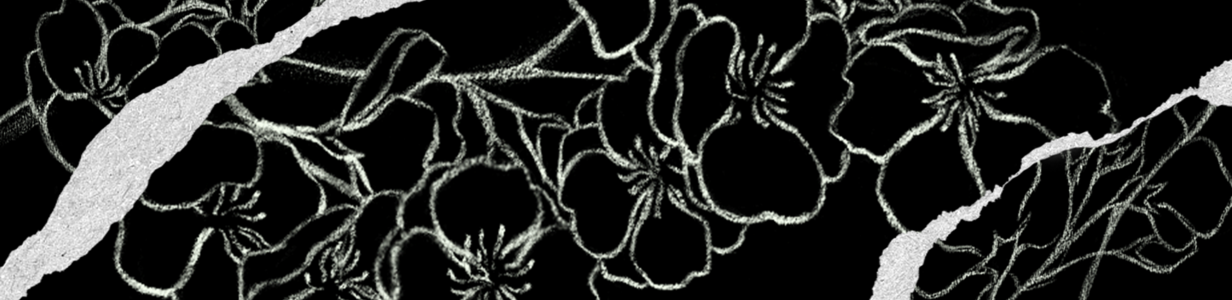 Main %d0%a8%d0%b0%d0%bf%d0%ba%d0%b0 1920%d1%85640