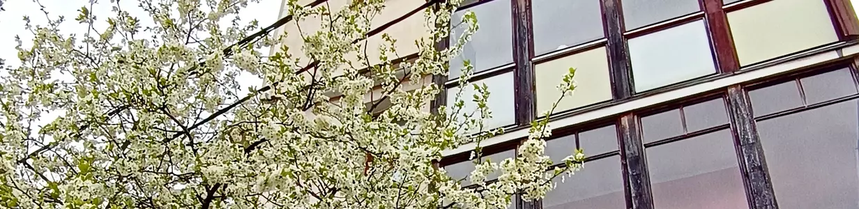 Main img 20250512 223309 088