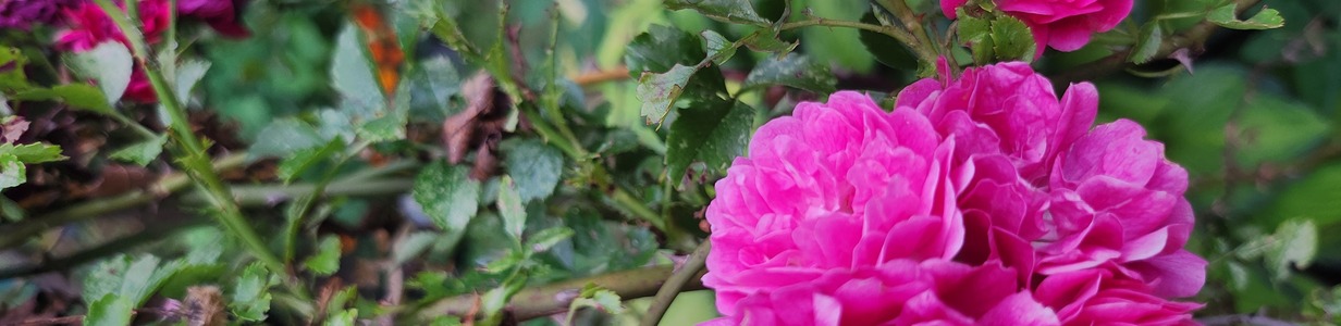 Main 20250714 184431