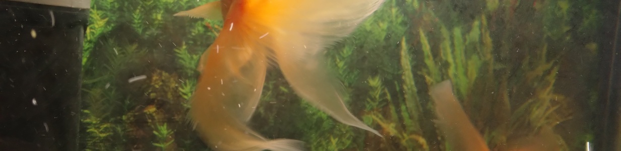 Main 20250705 113616