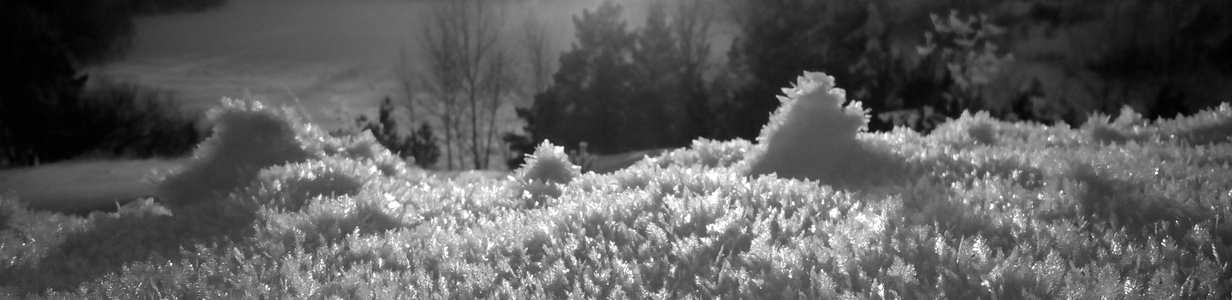 Main dwd3pwsxgae53c2