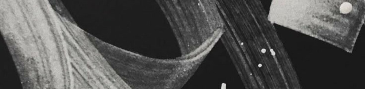 Main 58a3e303956a8a4e4967a8aaf9fc8b6f 2