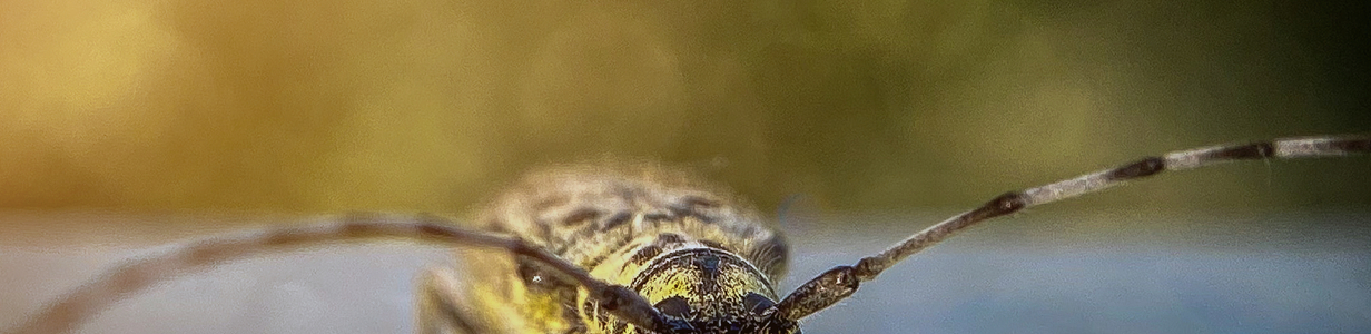 Main ld export f4e7d8ab 07032023