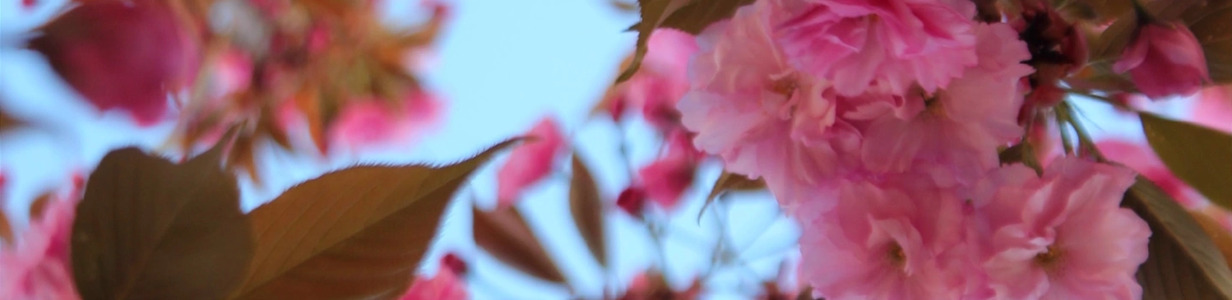 Main 4sd2f3qevs9bc4mtmmg  jzhlg2 rkkp3kdikfdlxnzcropsaxdotsprl  x63l7g69x wk3wxzj75w64dg3nuwk