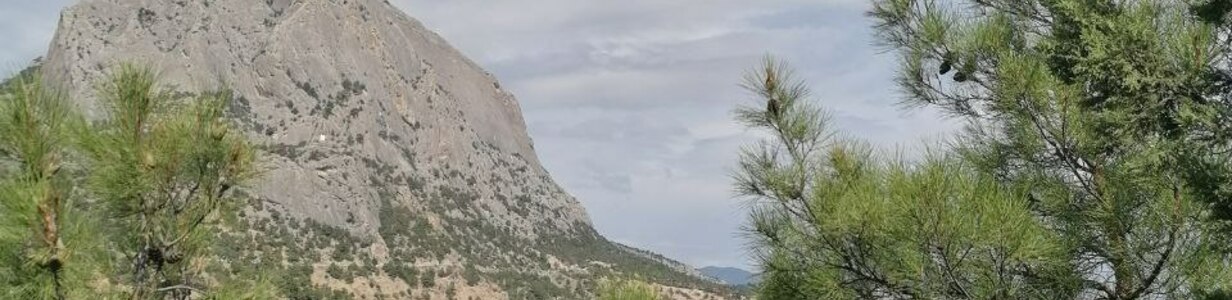 Main img 20250322 165012 261