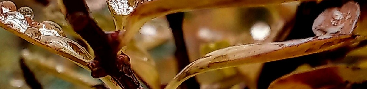 Main 20251111 123828