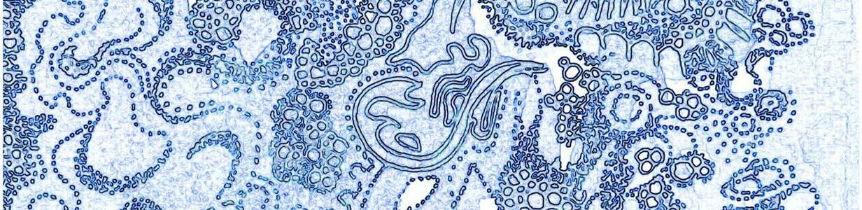 Main photo 5400165271957343826 y