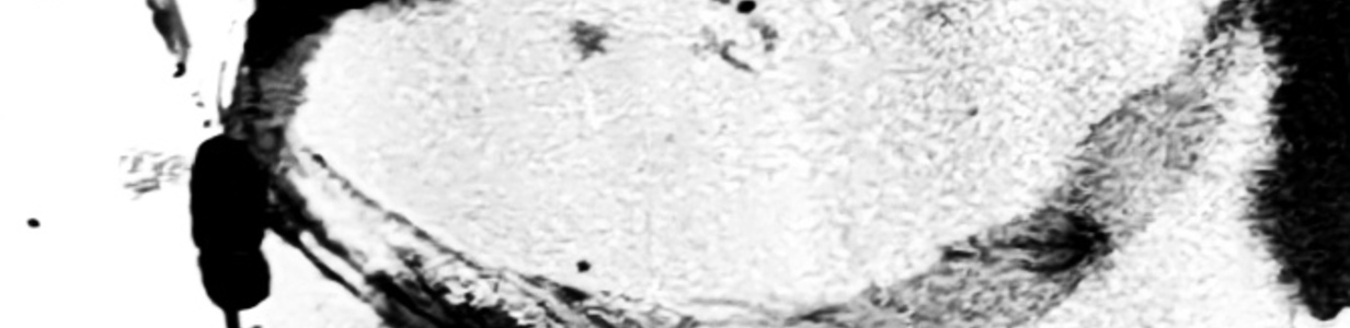 Main img 20250922 213522