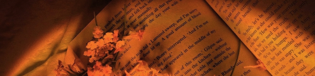 Main img 20251110 225106