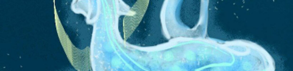 Main img 20260206 125020 027