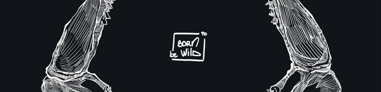 Main 5415656527504280491