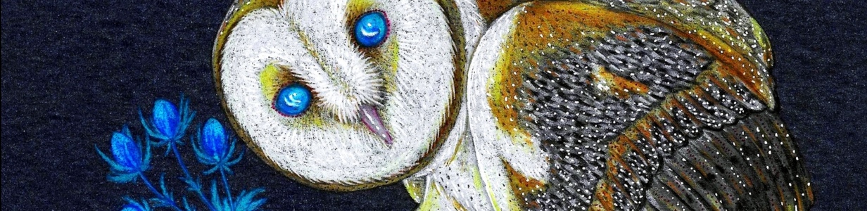 Main img 20260222 231016