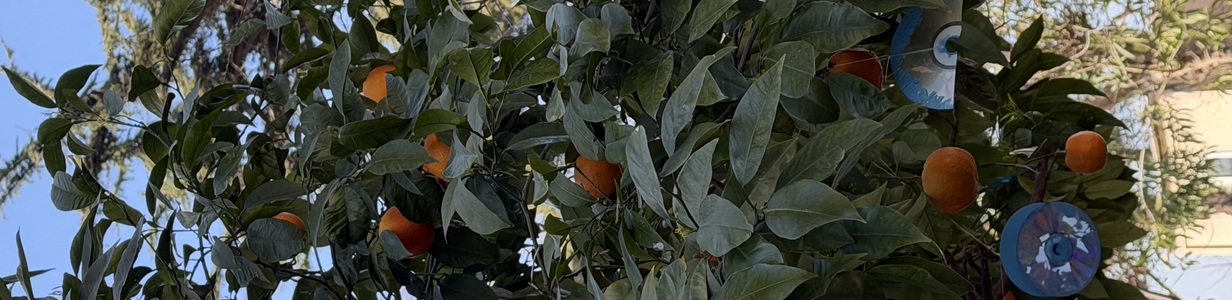 Main img 4601