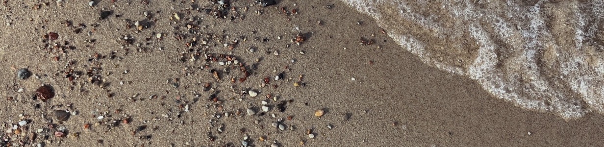 Main c0f4758d 336d 4683 9379 8aede5dfea2f