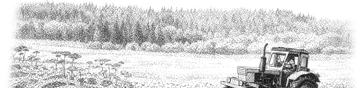 Main %d0%9f%d0%b5%d0%b9%d0%b7%d0%b0%d0%b65