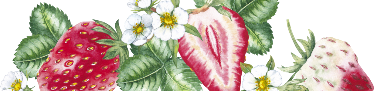 Main strawberriesflowers2