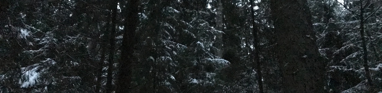 Main img 3011