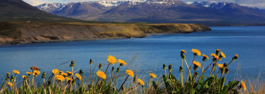 Main westfjord 03