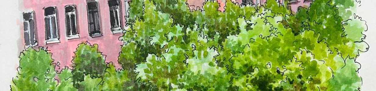 Main %d0%ba%d1%80%d1%8b%d1%88%d0%b8