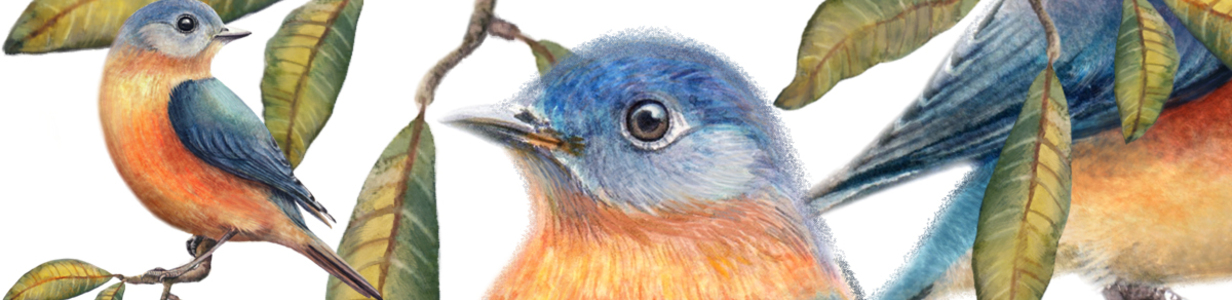 Main %d0%be%d0%b1%d0%bb%d0%be%d0%b6%d0%ba%d0%b0