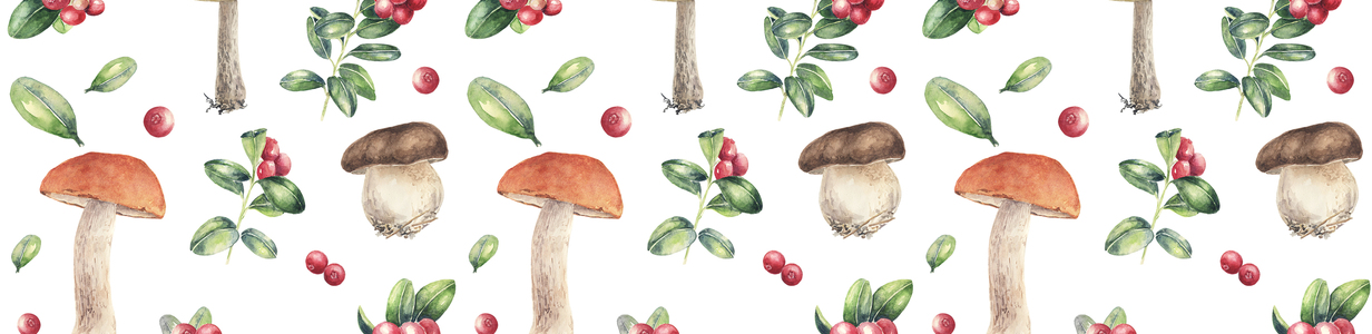 Main mushrooms and red berries pattern sq